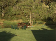 BBQ Table by Lake