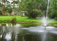 Ranger's House View