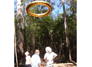 Swarbrick Forest Art Trail