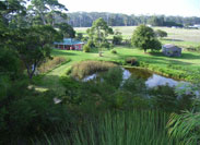 View of Crystal Springs