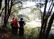 View of Crystal Springs