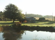 View of Crystal Springs