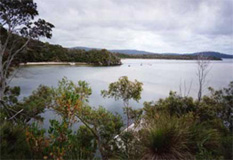 Nornalup Inlet - Sailing and Fishing